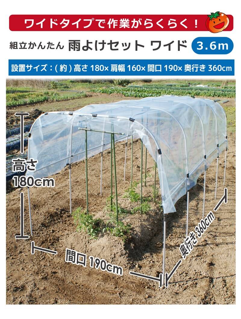 daim 組立かんたん雨よけセットワイド 奥行き 3.6m 雨よけ トマト ナス なす ぶどう 棚 畑 雨除け 透明シート セット ビニール ハウス シート 雨除けシート 風よけ 風除け 鳥よけ 鳥よけシート 野菜 栽培 ビニールハウス 家庭菜園 送料無料 2