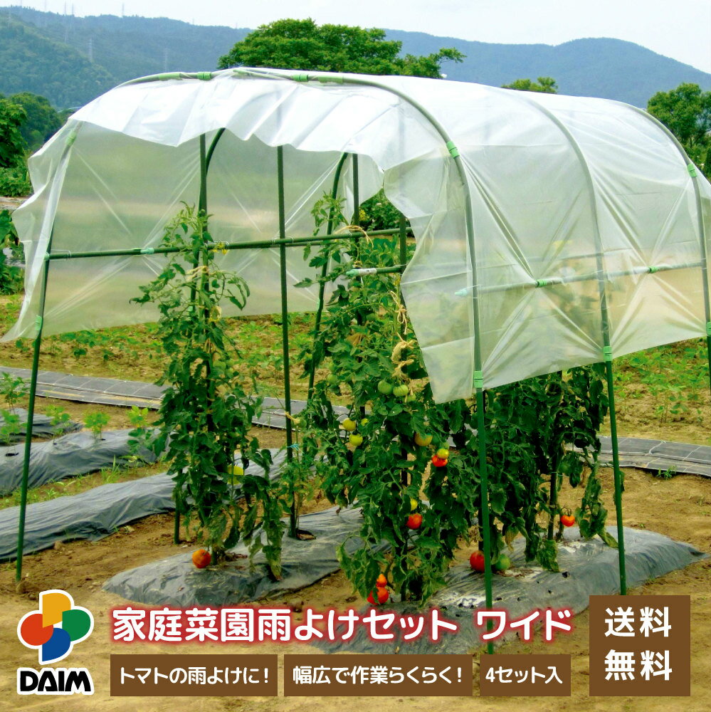 第一ビニール 菜園用雨よけシート 0.05mm×2.3m×5m