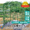 【エントリーで全商品P5倍!】【クーポンで最大2,500円OFF】daim 空中栽培 つる棚セット 1セット入 つる野菜 家庭菜園 農業用 支柱 第一ビニール ...