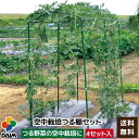 葉だれ防止リングセット/植物支柱 【リング直径30cm】 スチール製 日本製 『ハタレーヌ』 〔園芸 ガーデニング フラワー用品〕