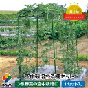 daim 空中栽培 つる棚セット 1セット入 つる野菜 家庭菜園 農業用 支柱 キュウリ ゴーヤ 小型カボチャ 野菜 つる 性 植物 果樹 つる性 園芸 用品 地這い栽培 園芸支柱 園芸用支柱 栽培棚 農業…