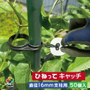 【クーポンで最大2,000円OFF】daim ひねってキャッチ16mm支柱用 50個入 誘引 茎止め 茎 育苗 園芸 クリップ 家庭菜園 トマト とまと ナス ...