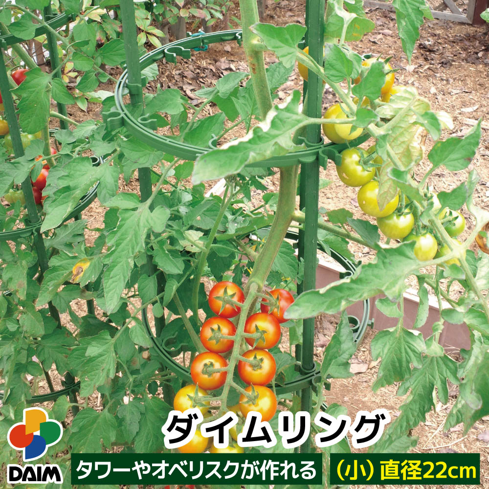 daim ダイムリング 小サイズ 直径22cm リング 朝顔 つる性植物 アサガオ 菜園 園芸 支柱 ガーデニング 家庭菜園 オベリスク タワー