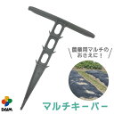 【24h限定!全商品対象クーポン配布中!】daim マルチキーパー マルチおさえ マルチ 農業用 農業資材 ガーデニング用品 プラスチック 杭 ピン 園芸用品 ...