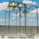 daim くだもの棚 セット KT-L 180 パー