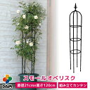 daim スモールオベリスク 直径21cm 高さ120cm バラ クレマチス つる性植物 ローズオベリスク ガーデンオベリスク オベリスク つるバラ つる 花 薔薇 ばら ガーデニング トレリス 菜園 組み立て 支柱 園芸 家庭菜園 かぼちゃ ブラック 送料無料