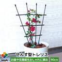 daim せんす型 トレリス 幅50cm×高さ90cm つる性植物 薔薇 トレリス バラ ばら つる性植物 おしゃれ プランター ベランダ ラウンドトレリス 園芸 組み立て不要 フェンス 支柱 園芸 ガーデニング