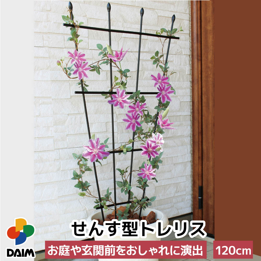 daim せんす型 トレリス 幅60cm 高さ120cm つる性植物 薔薇 トレリス バラ ばら つる性植物 おしゃれ プランター ベランダ ラウンドトレリス 園芸 組み立て不要 フェンス 支柱 園芸 ガーデニン…