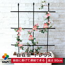 daim 自在型 トレリス 幅60cm×高さ90cm つる性植物 薔薇 トレリス バラ ばら つる性植物 おしゃれ プランター ベランダ ラウンドトレリス 園芸 組み立て不要 フェンス 支柱 園芸 ガーデニング