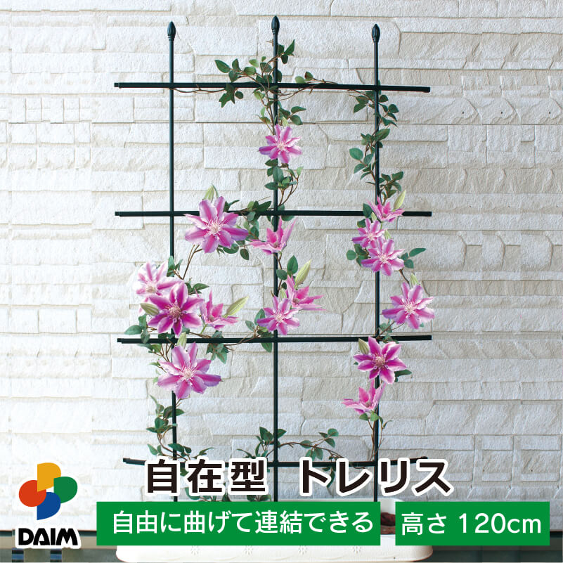 【スーパーSALE限定 10％OFF】【まとめ買いで最大7％OFF】daim 自在型 トレリス 幅60cm 高さ120cm つる性植物 薔薇 トレリス バラ ばら つる性植物 おしゃれ プランター ベランダ ラウンドトレ…