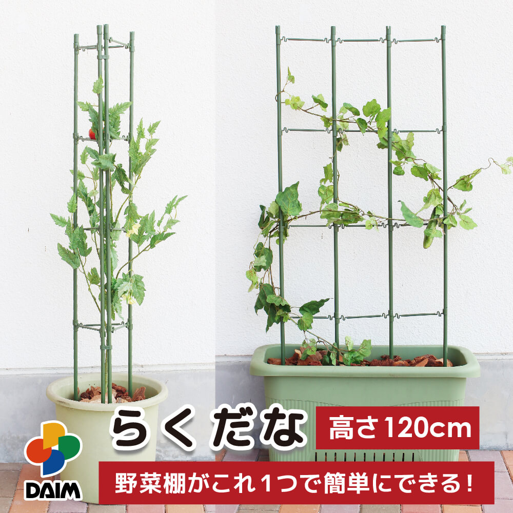 daim らくだな 高さ120cm トマト栽培 棚 野菜棚 キュウリ ゴーヤ つる性植物 きゅうり棚 園芸支柱 園芸用支柱 栽培棚 ネット 園芸 朝顔 支柱 ジョイント 竹 ガーデニング 用品 家庭菜園 アサガオ