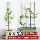 【P2倍】daim らくだな 高さ120cm 支柱 トマト栽培 棚 野菜棚 キュウリ ゴーヤ つる性植物 誘引 きゅうり棚 園芸支柱 園芸用支柱 栽培棚 ネット 園芸 朝顔 花ささえ フラワー サポート 花支え ジョイント ガーデニング 用品 家庭菜園 アサガオ つる植物 プランター