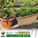 【クーポンで最大2,000円OFF】daim 猫よけシート用おさえピン ここだめシート 猫よけグッズ 猫よけ対策 ねこよけ ネコよけマット グッズ トゲトゲ ね...