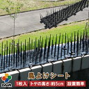 【クーポンで最大2,000円OFF】【5月 P2倍】daim 鳥よけシート 1枚入 鳥よけ トゲ 高さ 5cm 鳥よけ対策 ベランダ 鳥除け グッズ カラスよけ...