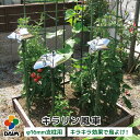 【クーポンで最大2,000円OFF】【5月 P2倍】daim キラリン風車 200mm×200mm 鳥よけ 鳥除け カラス除け からす 対策 カラスよけ 害鳥 ...