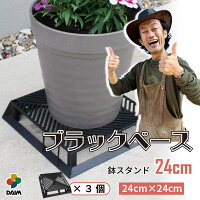 【カーメン君×daim コラボ】daim ブラックベース 24cm 3個 フラワースタンド ブラ...