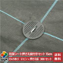 daim 防草シート押さえ板付きセット 剣先Uピン15cm 300セット入 訳あり品 園芸 防草 雑草対策 防草シート ピン 押さえ おさえ ガーデニング 家庭菜園 シート 固定 送料無料