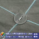 daim 防草シート押さえ板付きセット 剣先Uピン20cm 300セット入 訳あり品 園芸 防草 雑草対策 防草シート ピン 押さえ おさえ ガーデニング 家庭...