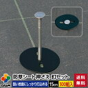 daim 防草シート押さえ釘セット 長さ15cm 300セット入 園芸 防草 雑草対策 防草シート ピン 押さえ おさえ ガーデニング 家庭菜園 用品 用具 シ...