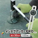 【24h限定!クーポンで最大50%OFF】【7月 P2倍】daim インテグアンカー プロ 長さ30cm 100本入 太い 剣先 防草シート コの字ピン ピン ...