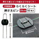 saien-factory:10001565のサンプル画像2