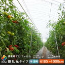 【受注生産品】daim 農業用 POフィルム 半透明 散乱光タイプ 0.15mm m単位販売 5〜50m 防滴剤 塗布 耐硫黄 防滴 農PO オーダーメイド P...