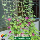 daim 麻ひもネット 1.8m×3.6m 麻ひも つる性 植物 サスティナブル 天然素材 エコ 誘引 1.8m 3.6m 園芸 家庭菜園