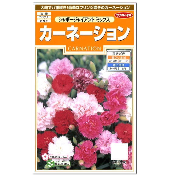 サカタのタネ カーネーション シャボージャイアントミックス 種 花壇 プランター 切花 切り花 たね ガーデニング 園芸