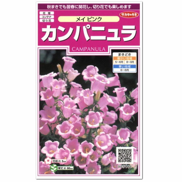 サカタのタネ カンパニュラ メイピンク 種 花壇 切り花 プランター 切花 たね 種子 かわいい メジューム系 ガーデニング