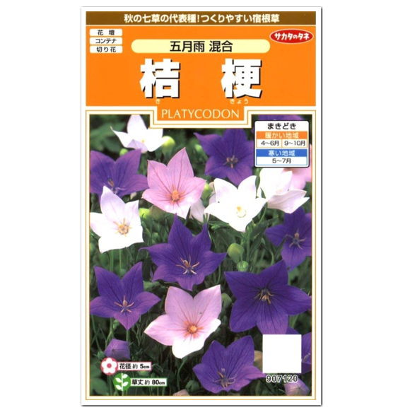 サカタのタネ 五月雨混合 桔梗 種 生産地 北海道 花壇 プランター ききょう 切り花 たね ガーデニング 秋の七草 花