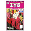 サカタのタネ ソネットミックス 金魚草 種 花壇 プランター 切花 たね ガーデニング