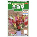 サカタのタネ 高性一代交配系混合 金魚草 種 花壇 プランター 切花 たね きんぎょそう ガーデニング