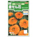 サカタのタネ 改良早生中安 金せん花 種 花壇 プランター 切花 たね きんせんか ガーデニング
