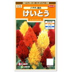 サカタのタネ 八千代混合 けいとう 種 花壇 プランター 切花 切り花 種 ケイトウ 種子 たね ガーデニング 燃焼 鶏頭 簡単 初心者向き