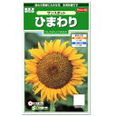 サカタのタネ サンスポット ひまわり 種 花壇 プランター 寄せ植え 草花 向日葵 ヒマワリ たね タネ 種子 切り花 アレンジ