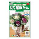 サカタのタネ まっすぐ伸びる葉ぼたん 切り花用混合 種 花壇 プランター 地植え 鉢植え 切り花 草花 たね ガーデニング