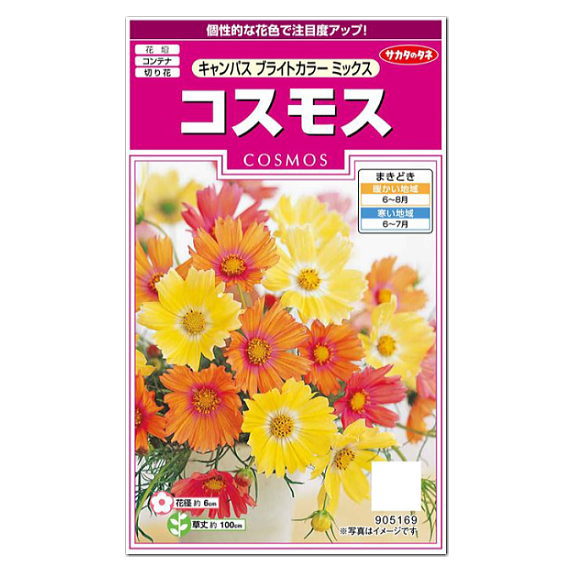 サカタのタネ コスモス キャンパス ブライトカラーミックス 種 景観用 花壇 切花 たね タネ 種子 園芸 ガーデニング こすもす 秋桜