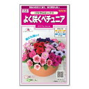 サカタのタネ ペチュニア バカラiQミックス 種 花壇 プランター 草花 たね 種子 ガーデニング