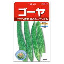 サカタのタネ ゴーヤ ニガウリ 種 家庭菜園 エアコン 節電対策 省エネ エコ グリーンカーテン 緑のカーテン ごーや ゴーヤーのタネ たね 種子 自由研究 夏野菜