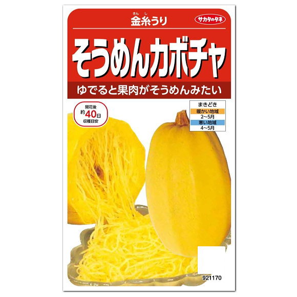 サカタのタネ そうめんカボチャ 金