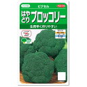 サカタのタネ はやどりブロッコリー ピクセル 種 家庭菜園 緑黄色健康野菜 スルフォラファン ブロッコリーのタネ たね 種子