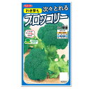 サカタのタネ わき芽もつぎつぎとれる ブロッコリー 緑笛 種 家庭菜園 緑黄色健康野菜 スルフォラファン ブロッコリーのタネ たね 種子