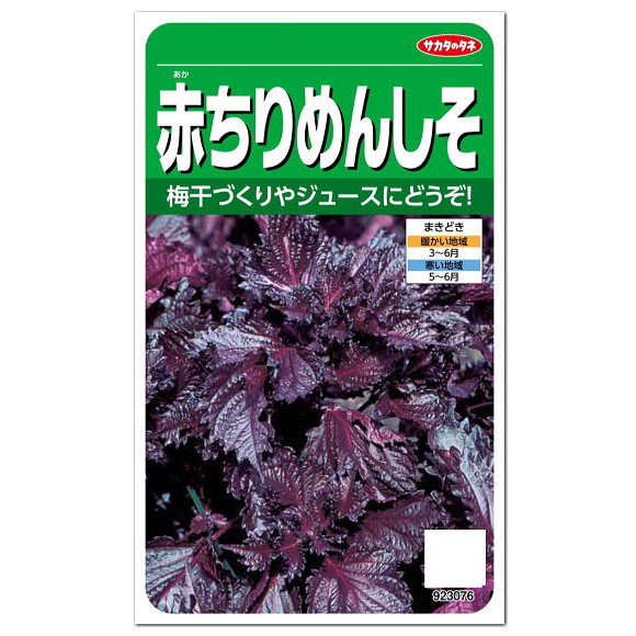 サカタのタネ 赤ちりめんしそ 種 種の生産地 岐阜県 赤しそ 家庭菜園 紫蘇 シソのタネ たね 種子 赤じそ 緑黄色野菜 プランター栽培