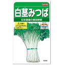 サカタのタネ 白茎みつば 種 プランター栽培 青みつば白 ミツバ タネ たね 種子 簡単 白茎三つ葉 香味野菜 家庭菜園