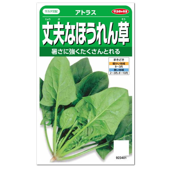 サカタのタネ 丈夫なほうれん草 アトラス 種 家庭菜園 プランター栽培 ほうれんそう たね 法蓮草 ホウレンソウのタネ