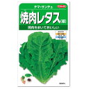 サカタのタネ 焼肉レタス 緑 チマサンチュ 種 家庭菜園 チマサンチ チマサンチュ レタス タネ 野菜 たね 種子 れたす ベランダ プランター栽培