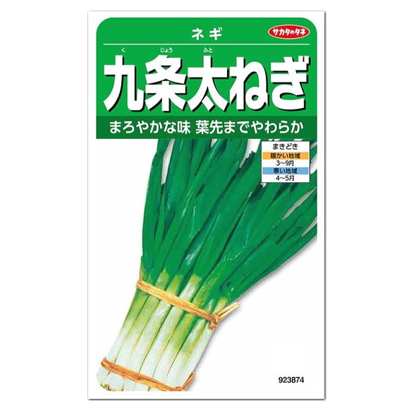 九条ネギの栽培方法は 種まきや苗の植え方から収穫までコツを交えてご紹介 暮らし の
