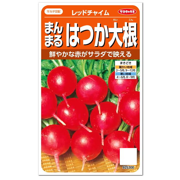 サカタのタネ まんまる はつか大根 レッドチャイム 種 プランター栽培もおすすめ 家庭菜園 ラディッシュ 野菜 たね 種子 はつかだいこん ハツカダイコン 二十日大根