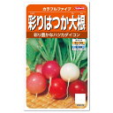 サカタのタネ 彩りはつか大根 カラフルファイブ 種 家庭菜園 ラディッシュ 野菜 たね 種子 二十日大根