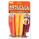 サカタのタネ カラフルにんじん 種 オレンジ・黄色・紫の3色になって新登場 (家庭菜園 人参 ニンジンのタネ 野菜 たね 種子)
